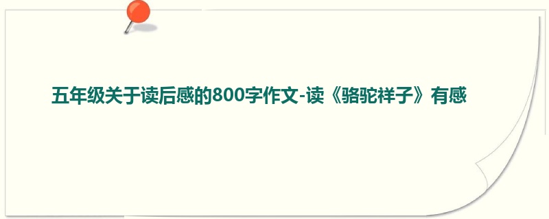 五年级关于读后感的800字作文-读《骆驼祥子》有感
