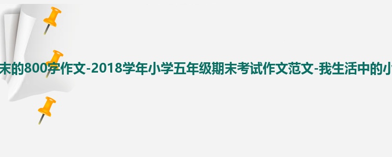 五年级关于期末的800字作文-2018学年小学五年级期末考试作文范文-我生活中的小窍门
