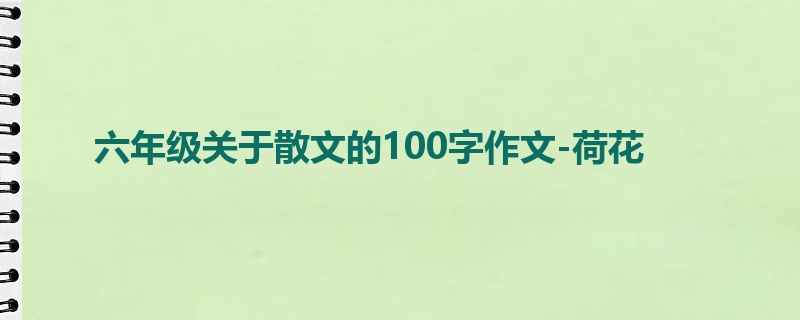 六年级关于散文的100字作文-荷花