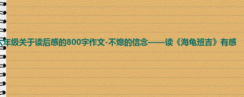 六年级关于读后感的800字作文-不熄的信念——读《海龟班吉》有感