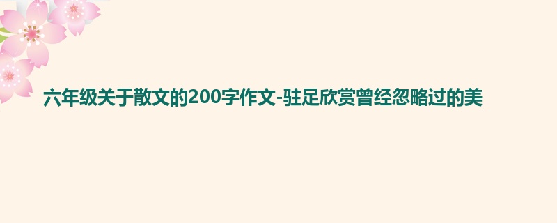 六年级关于散文的200字作文-驻足欣赏曾经忽略过的美