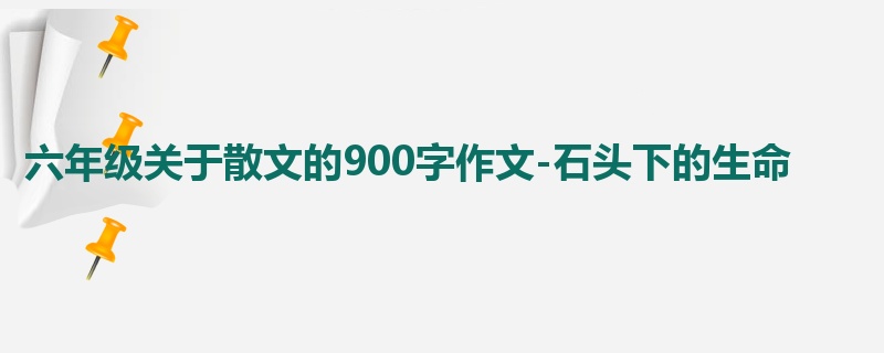 六年级关于散文的900字作文-石头下的生命