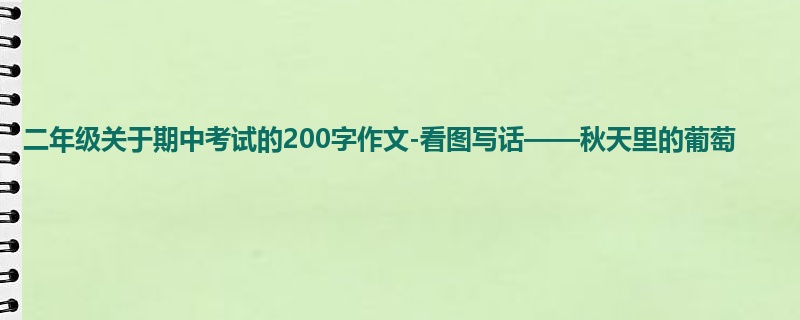 二年级关于期中考试的200字作文-看图写话——秋天里的葡萄