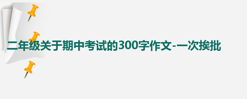 二年级关于期中考试的300字作文-一次挨批