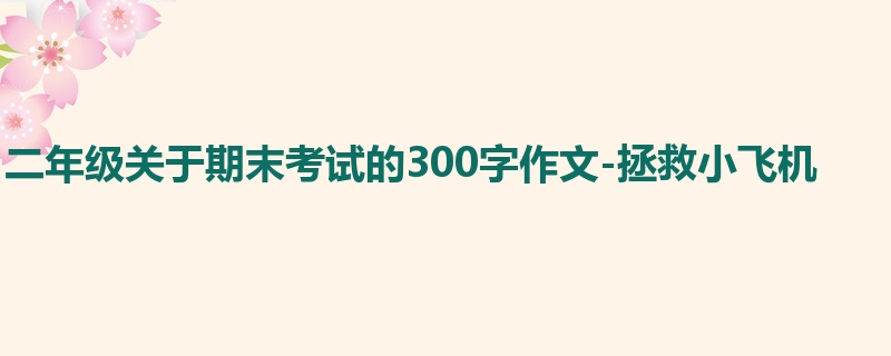 二年级关于期末考试的300字作文-拯救小飞机