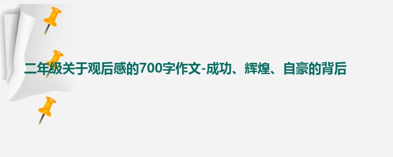二年级关于观后感的700字作文-成功、辉煌、自豪的背后