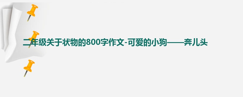 二年级关于状物的800字作文-可爱的小狗——奔儿头