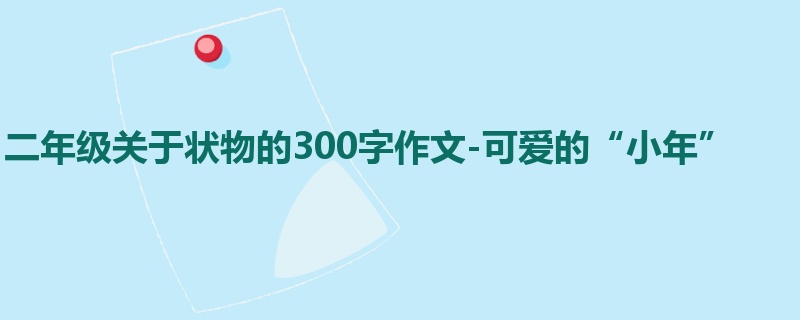 二年级关于状物的300字作文-可爱的“小年”