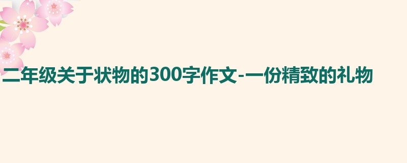 二年级关于状物的300字作文-一份精致的礼物