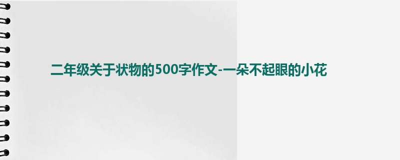 二年级关于状物的500字作文-一朵不起眼的小花