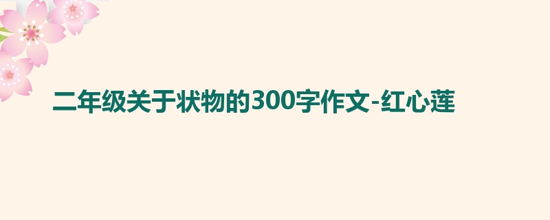 二年级关于状物的300字作文-红心莲