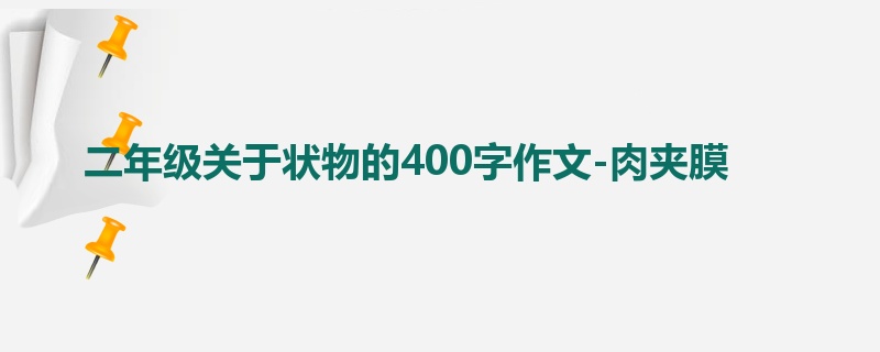 二年级关于状物的400字作文-肉夹膜