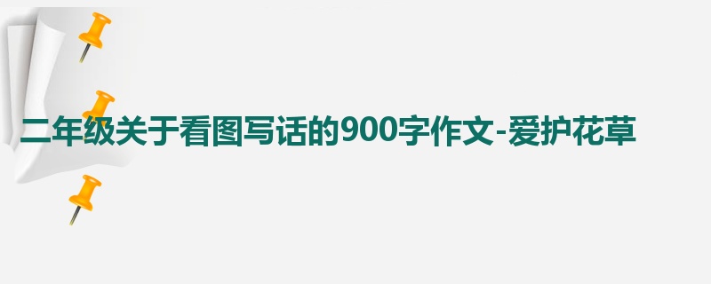 二年级关于看图写话的900字作文-爱护花草