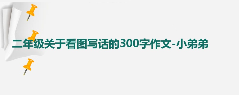 二年级关于看图写话的300字作文-小弟弟