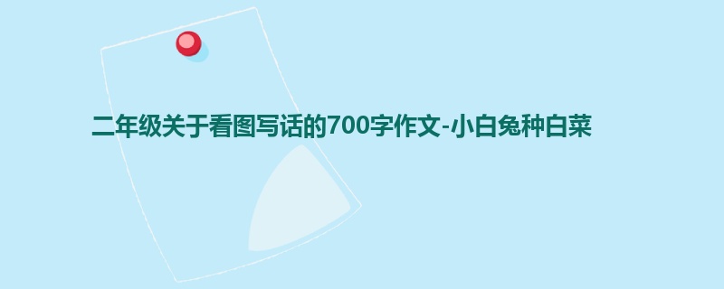 二年级关于看图写话的700字作文-小白兔种白菜