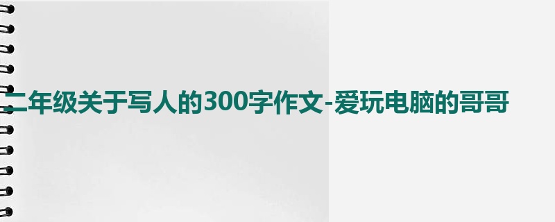 二年级关于写人的300字作文-爱玩电脑的哥哥