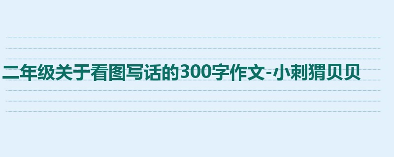 二年级关于看图写话的300字作文-小刺猬贝贝