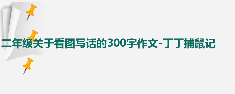 二年级关于看图写话的300字作文-丁丁捕鼠记