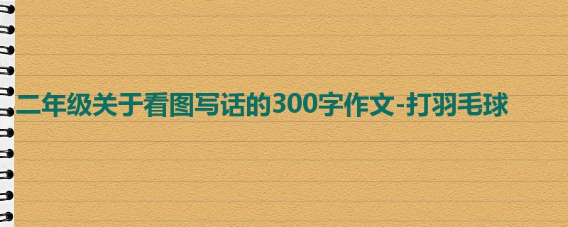二年级关于看图写话的300字作文-打羽毛球