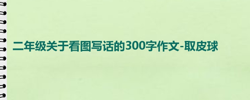 二年级关于看图写话的300字作文-取皮球