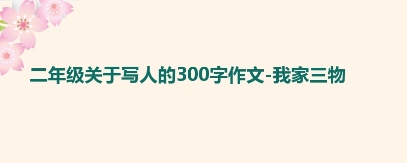 二年级关于写人的300字作文-我家三物