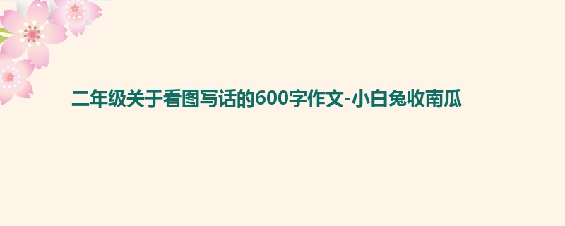 二年级关于看图写话的600字作文-小白兔收南瓜