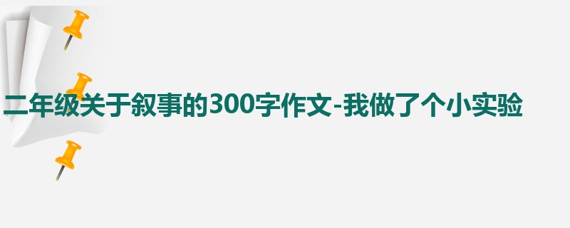 二年级关于叙事的300字作文-我做了个小实验