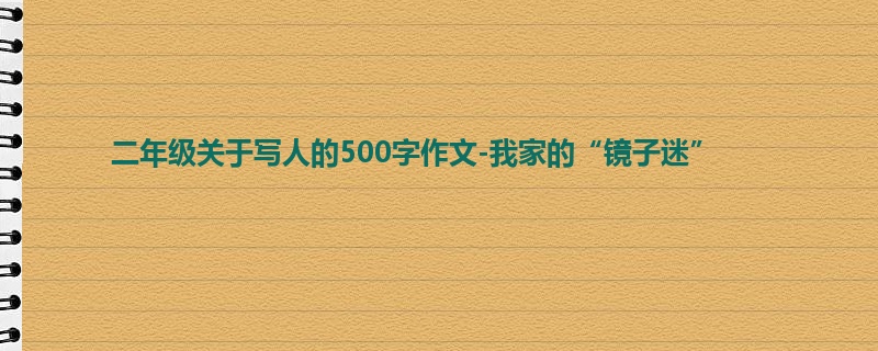 二年级关于写人的500字作文-我家的“镜子迷”