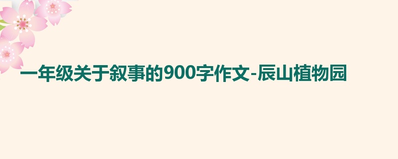 一年级关于叙事的900字作文-辰山植物园
