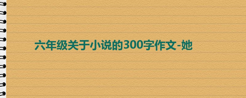 六年级关于小说的300字作文-她