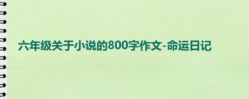 六年级关于小说的800字作文-命运日记