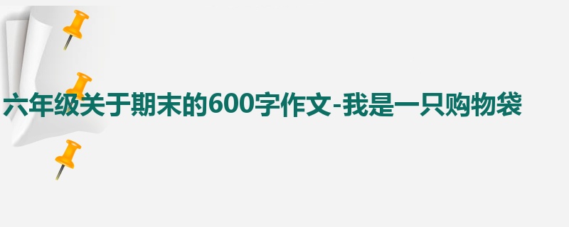 六年级关于期末的600字作文-我是一只购物袋