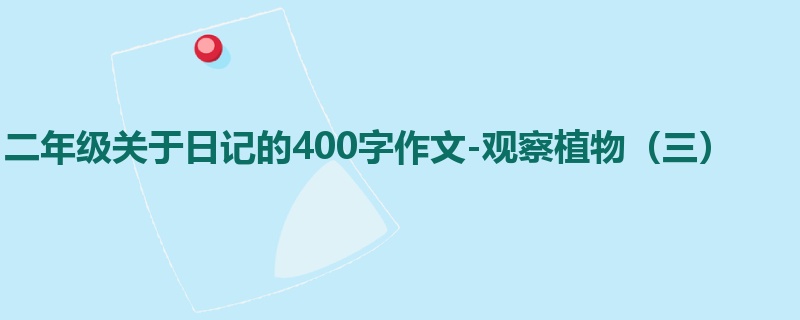 二年级关于日记的400字作文-观察植物(三)