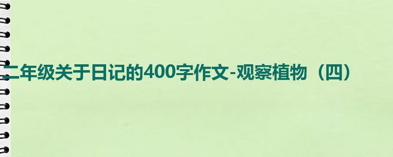 二年级关于日记的400字作文-观察植物(四)