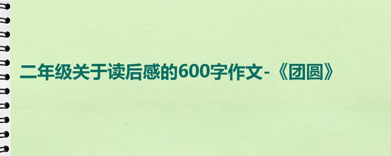 二年级关于读后感的600字作文-《团圆》