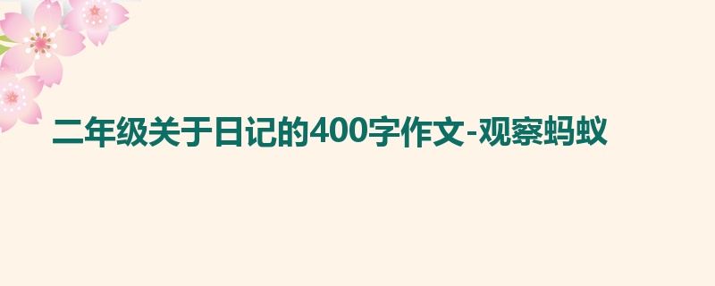 二年级关于日记的400字作文-观察蚂蚁