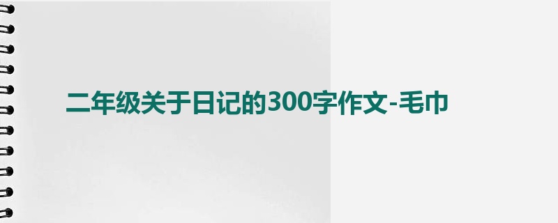 二年级关于日记的300字作文-毛巾