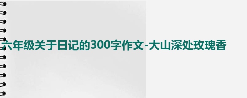 六年级关于日记的300字作文-大山深处玫瑰香