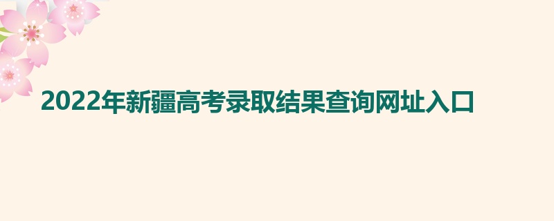 2022年新疆高考录取结果查询网址入口