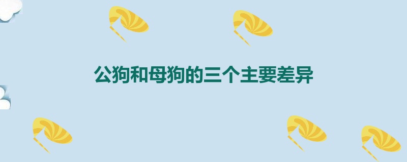 公狗和母狗的三个主要差异