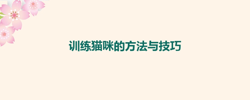 训练猫咪的方法与技巧