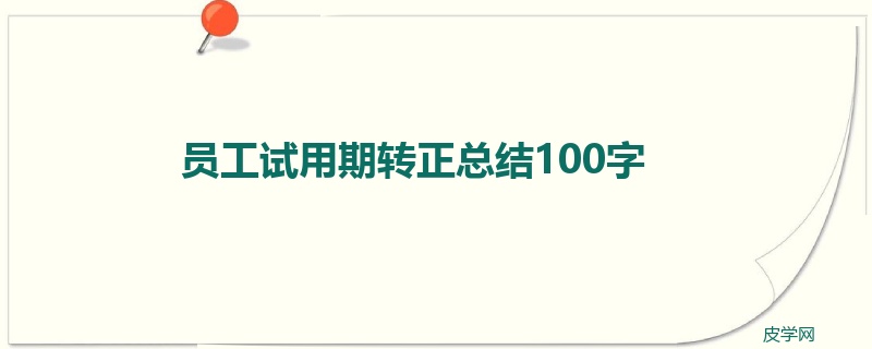 员工试用期转正总结100字