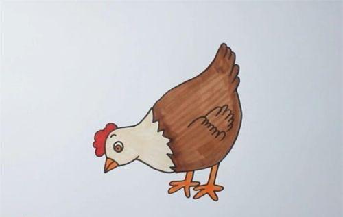 卡通彩色母鸡简笔画图片大全 简单又漂亮母鸡简笔画怎么画