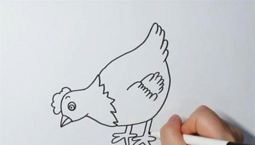 卡通彩色母鸡简笔画图片大全 简单又漂亮母鸡简笔画怎么画