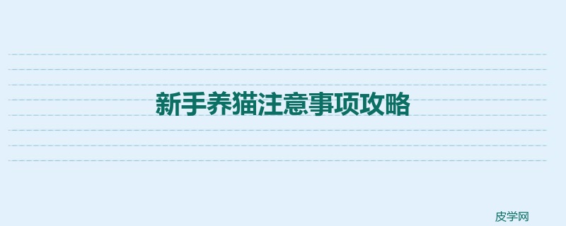 新手养猫注意事项攻略