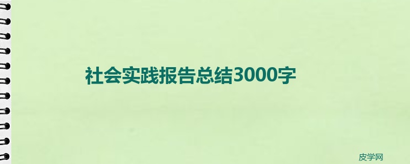 社会实践报告总结3000字