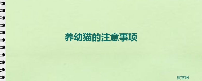 养幼猫的注意事项