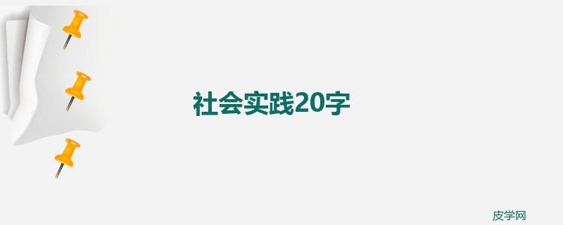 社会实践20字