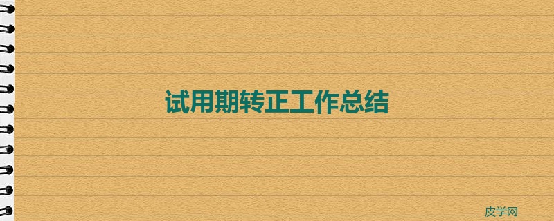 试用期转正工作总结