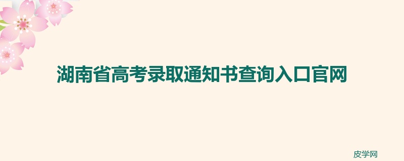 湖南省高考录取通知书查询入口官网